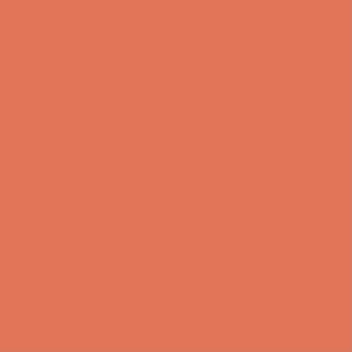 Century Solids - Coral Sunset - Andover Fabrics