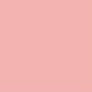 Century Solids - Pink Lemonade - Andover Fabrics
